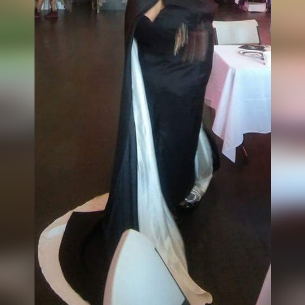 EyeCatcher Evening Dress - Picture 7 of 10
